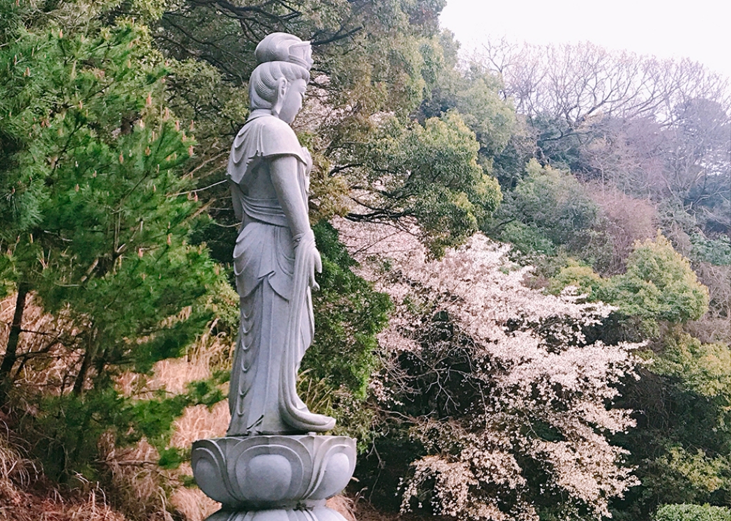 写真：観音像と桜