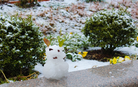 写真：小さな雪だるま