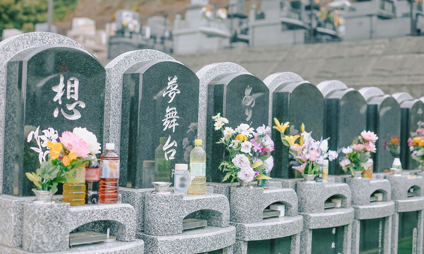 写真：お花を供えたお墓が並んでいます